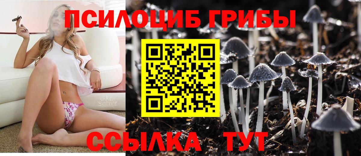 Псилоцибиновые грибы мухоморы Кирово-Чепецк